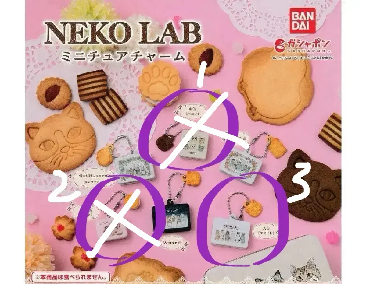 네코랩 neko lab 가챠