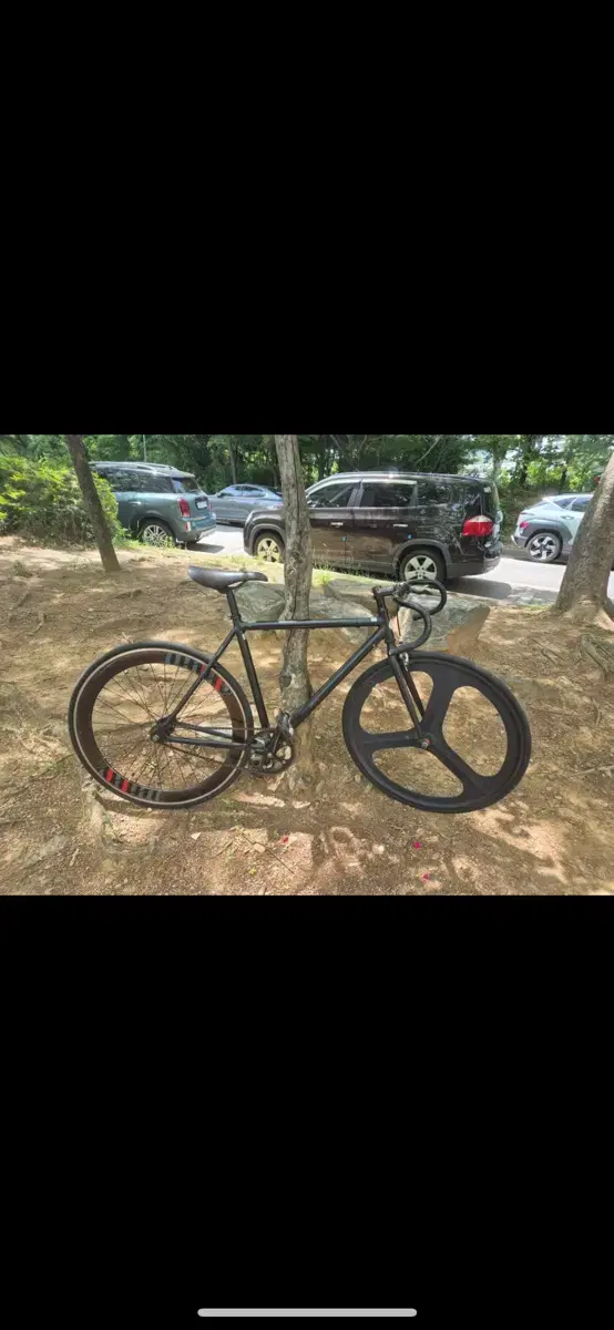 Alton Fixie
