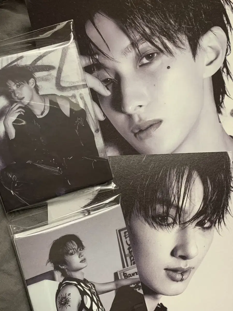 세븐틴 데어데빌 캐럿반 바인더 준 도겸