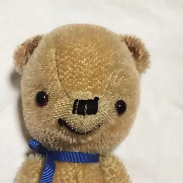 가토 히사 테디베어