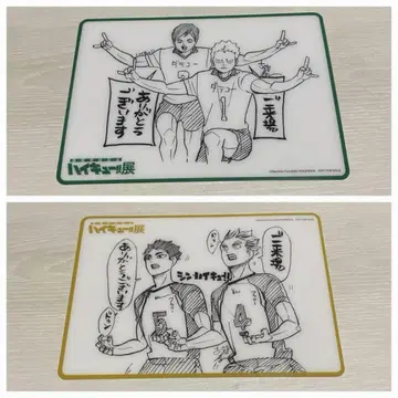 하이큐 입장 특전 다테 공업 부엉이 계곡