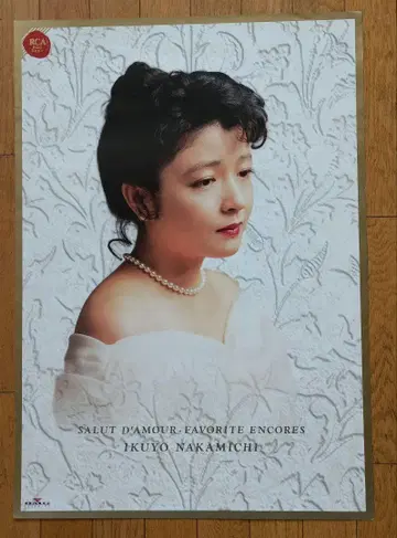나카미치 이쿠요 포스터 1
