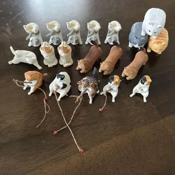 가챠, 고양이, 요가, 낚시