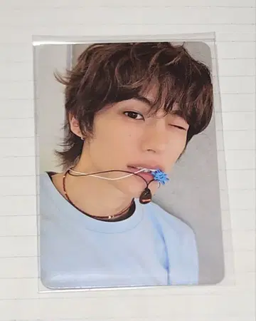 앤톤 트레이딩 카드