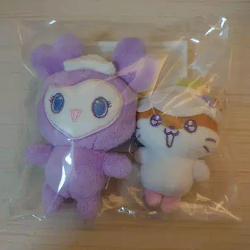 TWICE 사나 러블리 산리오 백 참