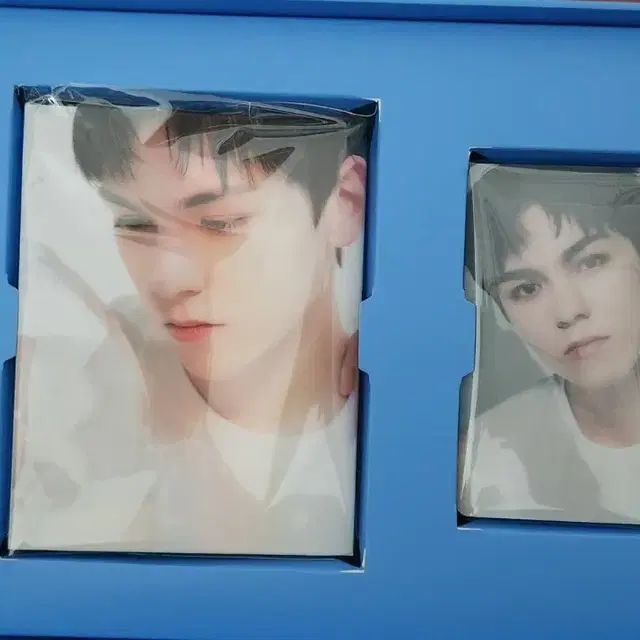 세븐틴 베스트앨범 캐럿반 디어버전 버논 양도