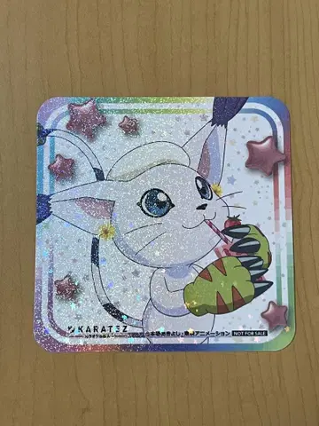 디지몬 02 카라테츠 홀로 코스터 테일몬
