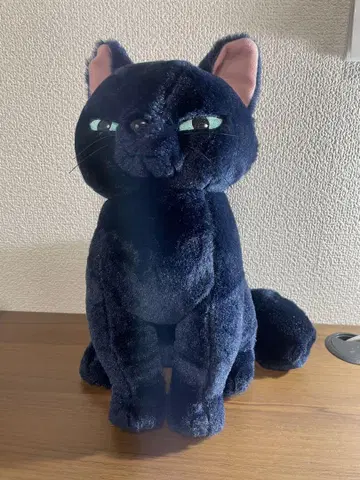 메리와 마녀의 꽃 봉제 인형 고양이 지브리