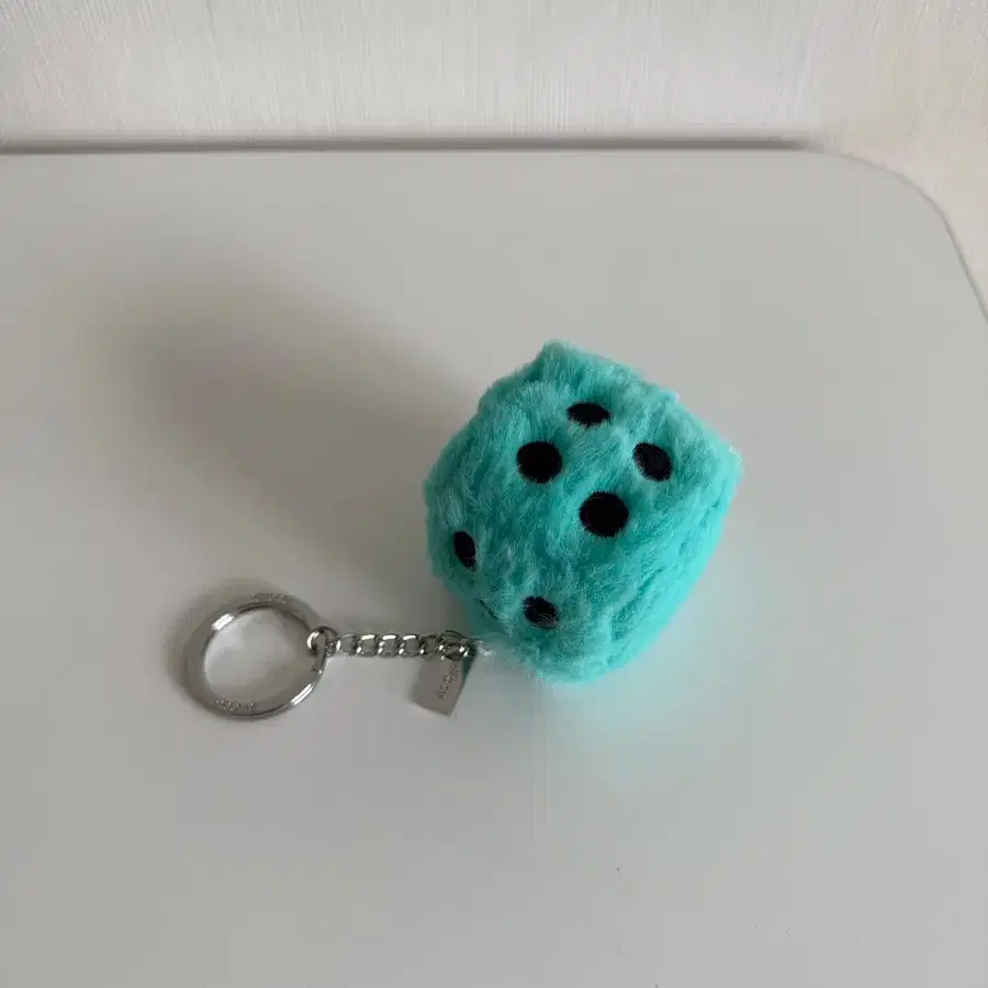 STUSSY FUZZY DICE KEYCHAIN キーホルダー 水色・ピンク STUSSY FUZZY