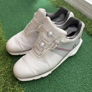 오늘만 가격 인하 풋조이 PRO SL 26cm