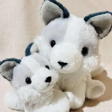 모후토 늑대 봉제 인형 키링 스트랩 묶음 판매 마스코트