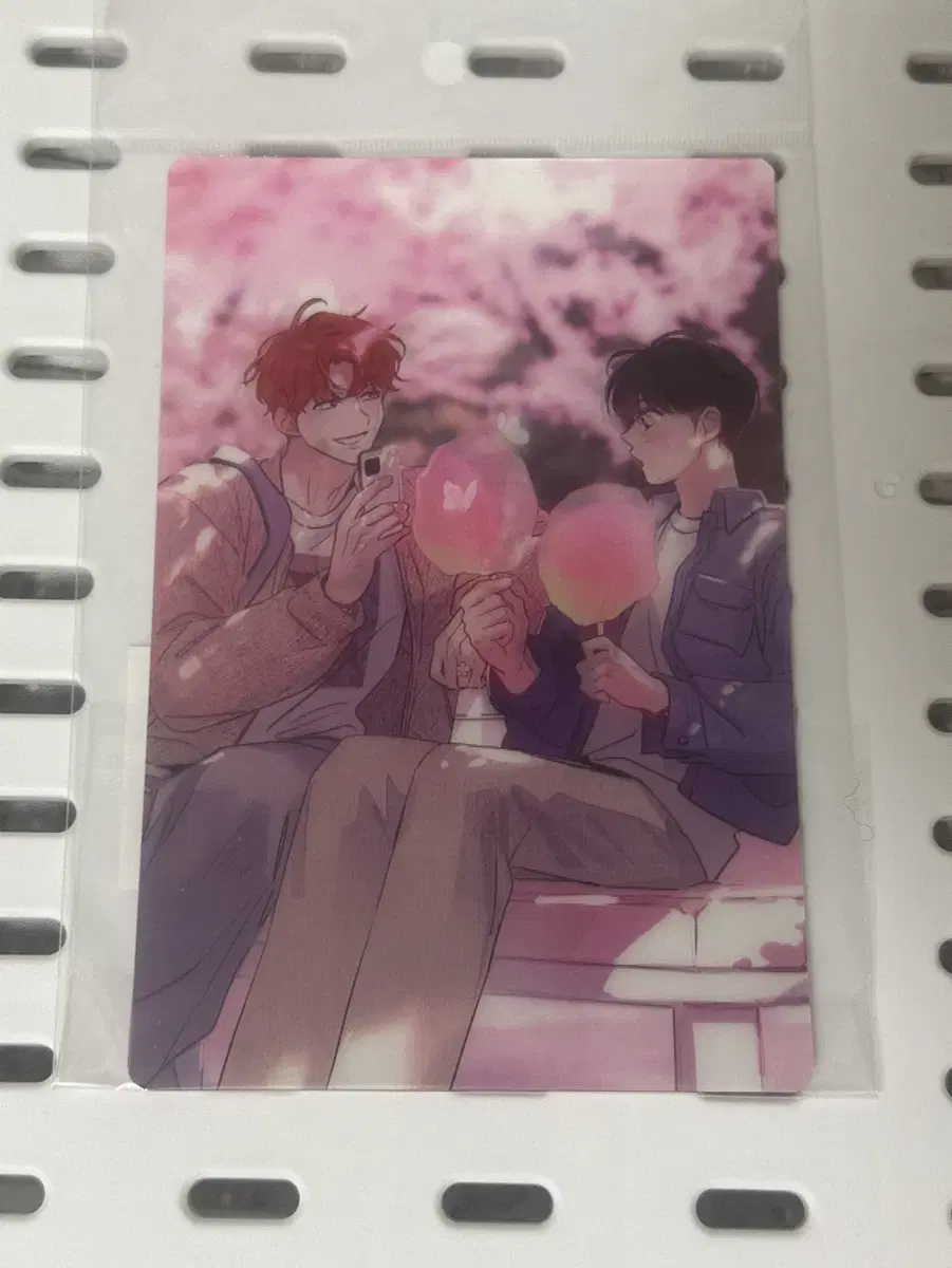 My dream was strange, 1 lenticular