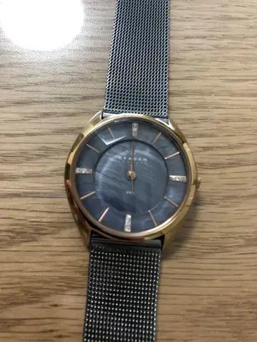 SKAGEN 스카겐 쿼츠 여성용 아날로그 손목시계