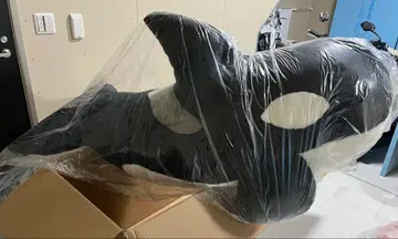 가모가와 씨월드 BIG 오카미 봉제 인형