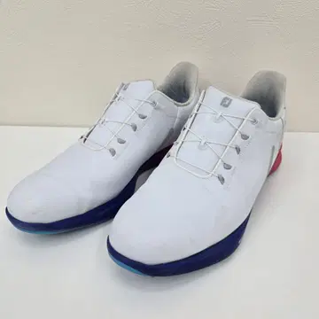 풋조이 스파이크리스 골프화 29.0cm