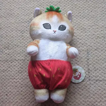 이치고 팬츠 고양이 봉제 인형 모프 샌드