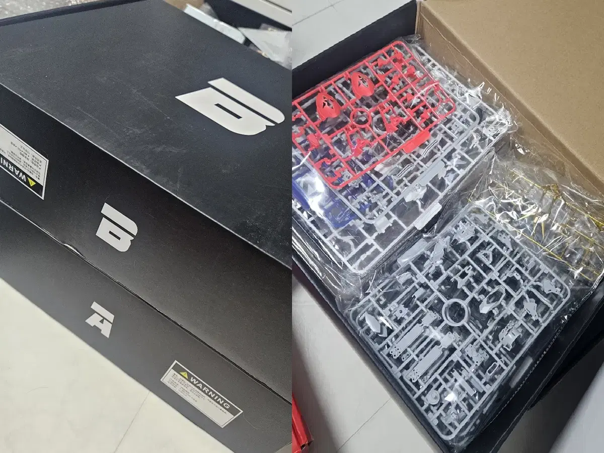 대륙제  지주해 발바토스 루프스   초회 한정판 팝니다.