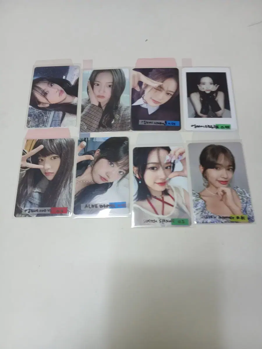 ( 포카) 강아지 댕댕유진 세트 판매합니다!