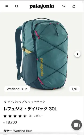 Patagonia 레푸지오 데이팩 30L Wetland Blue