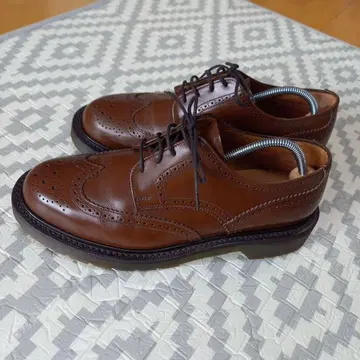 CAUSE 코즈 LOAKE 로크 콜라보 윙 칩