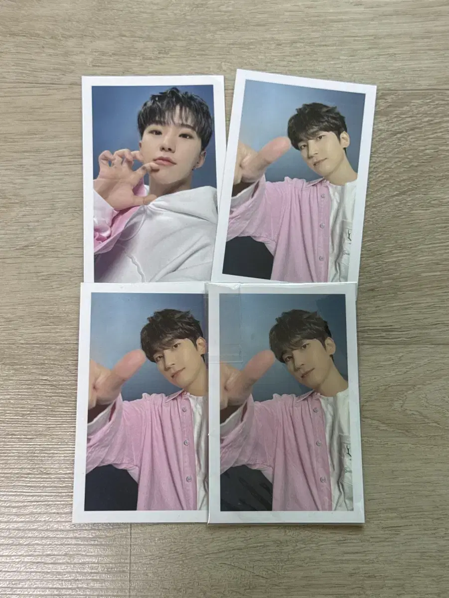 세븐틴 2023 캐럿랜드 후드 포카 호시, 원우