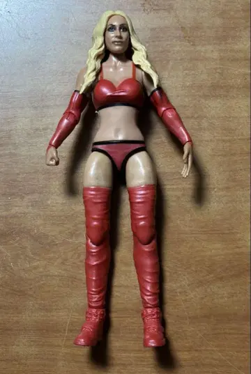 WWE 피규어 카멜라 베이직 마텔