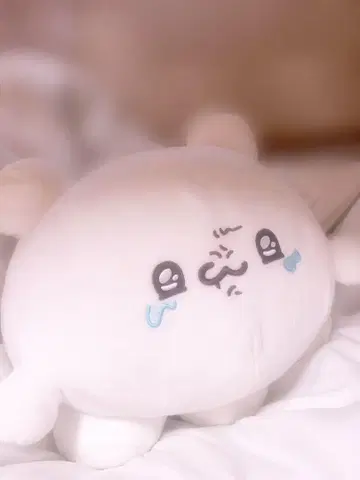 라부이즈 메차모후구토 봉제 인형 ~드디어 울어버린 스모피~