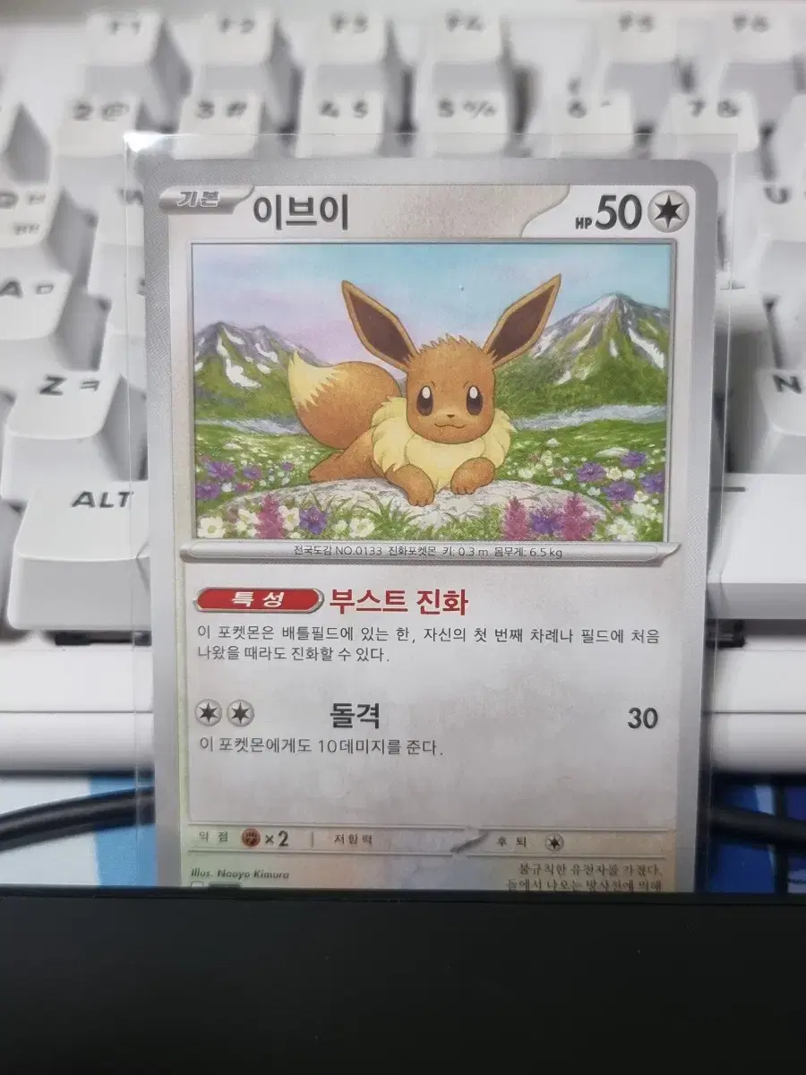포켓몬카드 이브이