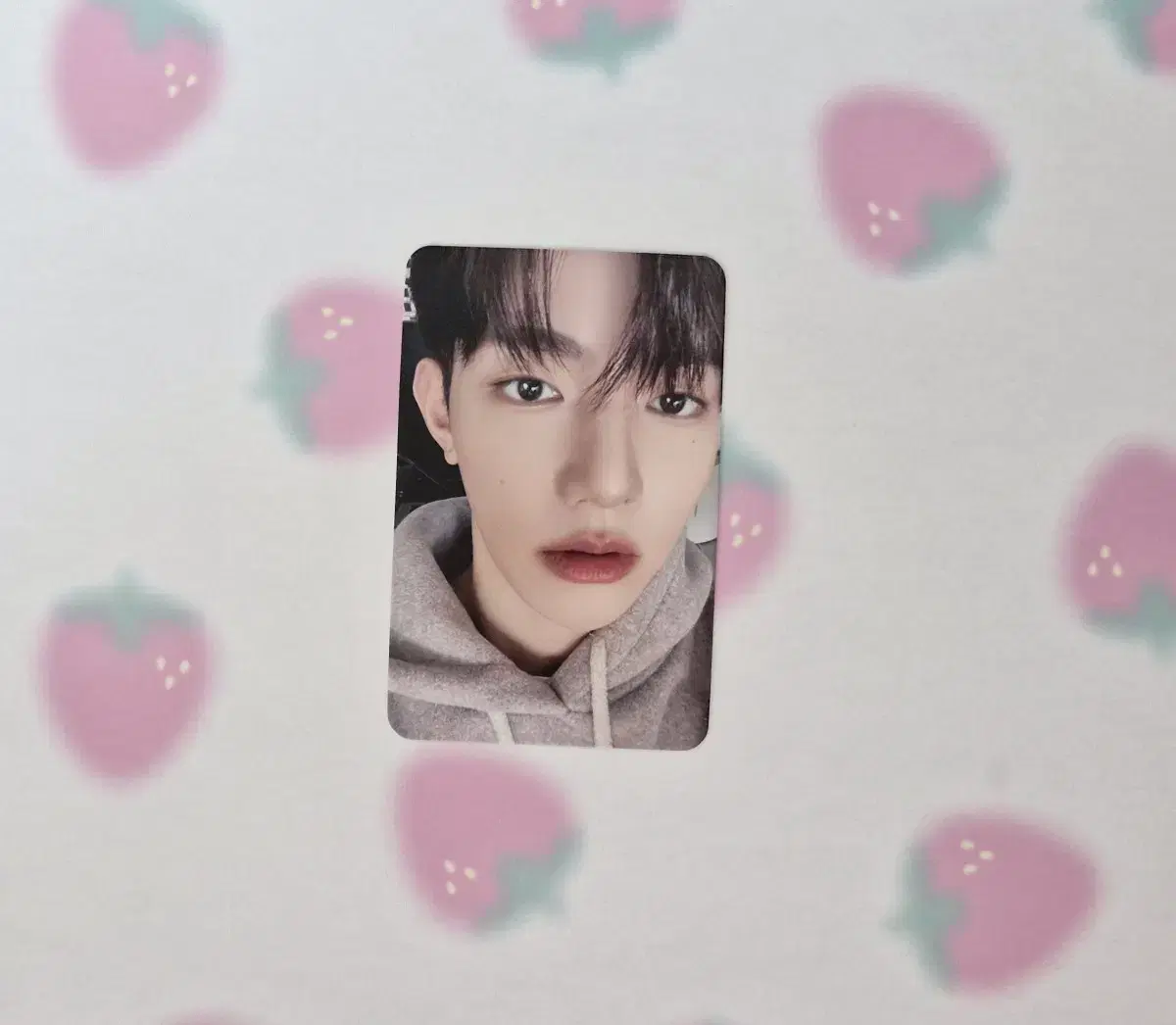 Zerobaseone Zhang Hao 2024 season's greetings Star River unreleased photocard