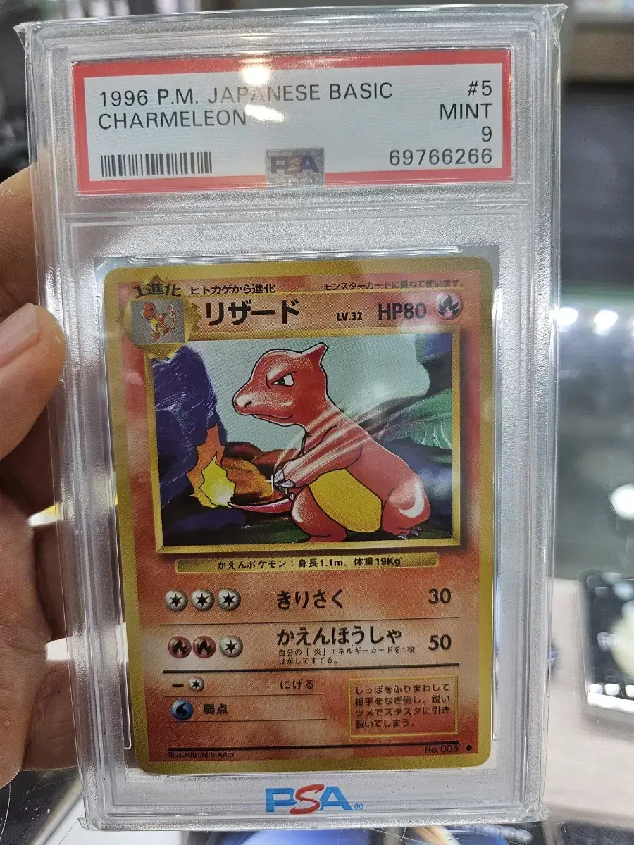 1996 일판 리자드 psa9팝니다