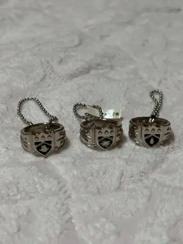 가정교사 히트맨 REBORN! 봉고레 반지 비, 폭풍, 구름