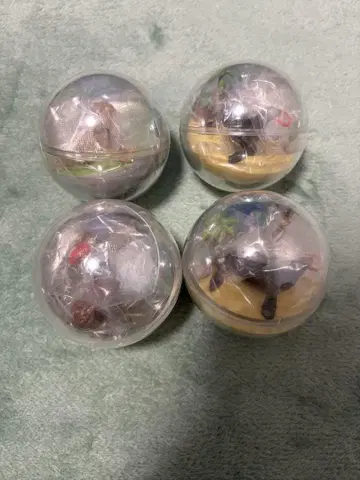 어드벤처 월드 카프리움 컬렉션