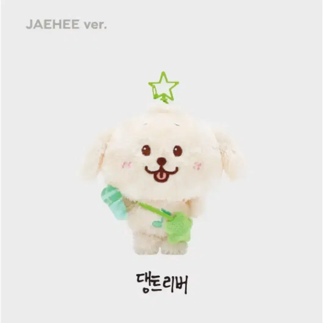 NCT WISH 韓国 ソウルコン ジェヒ バッグ デントリバー ぬいぐるみ