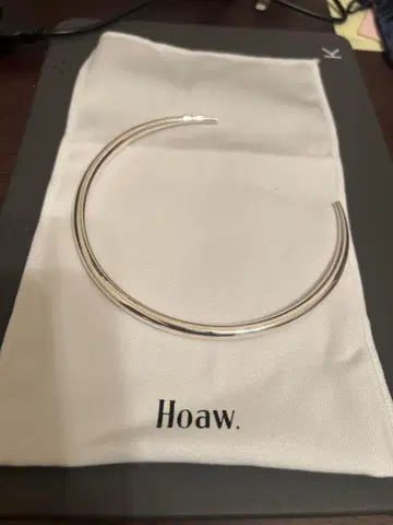 Hoaw. 실버 초커