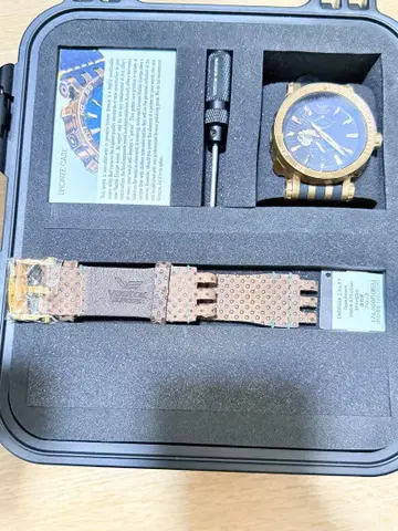 Vostok Europe 손목시계