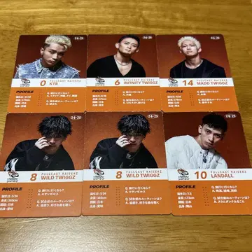 D 리그 트레이딩 카드 FULVCAST RAISERZ 세트