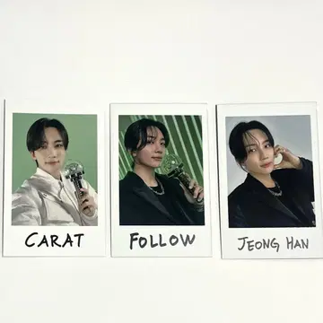세븐틴 정한