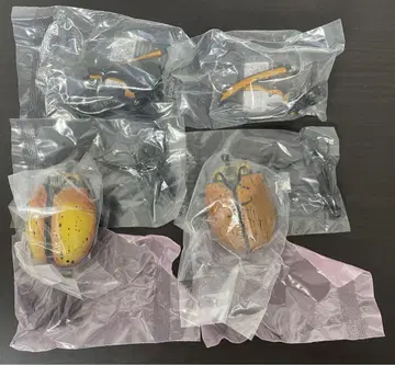 생물대도감 어드밴스 헤라클레스 에쿠아트리안, 옥시덴타리스 세트