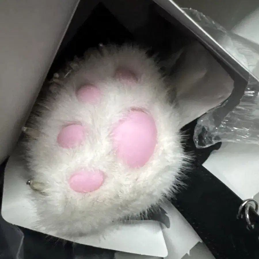 Meow Jelly Paw Anna | TikTok