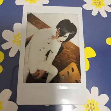 흠집 라이무 씨 폴라로이드