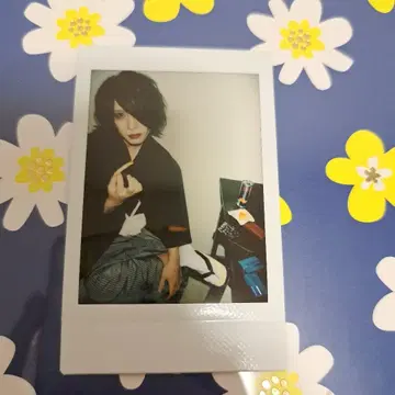 흠집 라이무 씨 폴라로이드