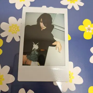 흠집 키무 씨 폴라로이드