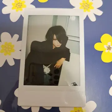 흠집 키무 씨 폴라로이드