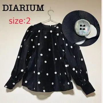 DIARIUM 디어리움 시어 도트 볼륨 슬리브 블라우스 2 M