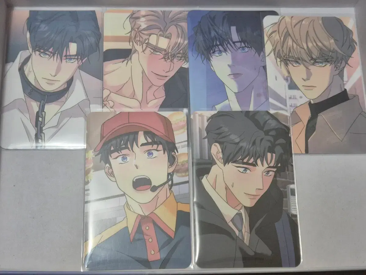 Tree Without Roots Rebom Pre-order Benefit Photocard Poca 6-piece Bulk