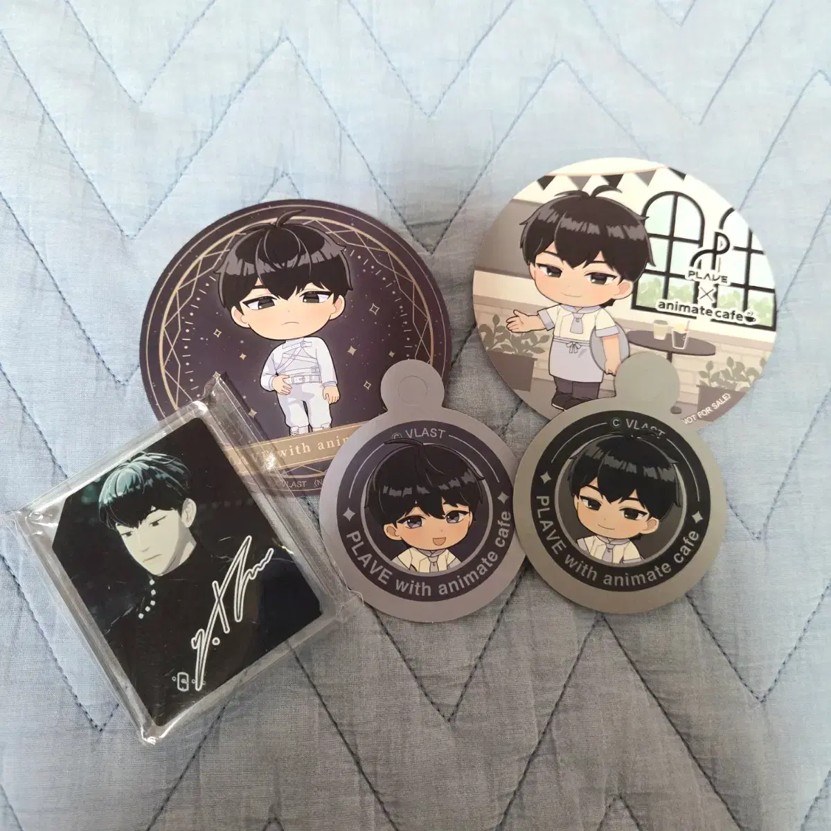 Animate PLAVE Corotta and Goods WTS
