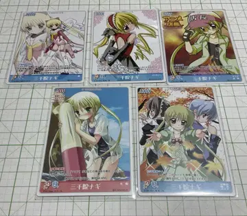하야테의 TCG 3000인 나기 5장 세트