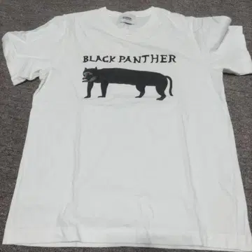 brahmsROOTSTOCK 블럼스 루츠 스톡 티셔츠