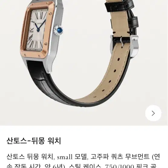 까르띠에 산토스 뒤몽 스몰 단순시착 새상품 사진 5