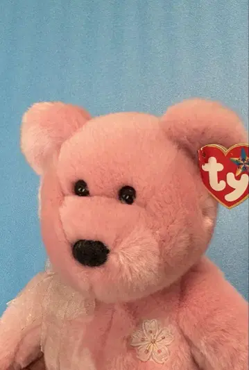 비니 바디즈 사쿠라 2 새상품급 곰 봉제 인형